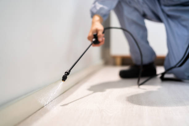 Professional exterminator conducting IPM assessment in Aventura